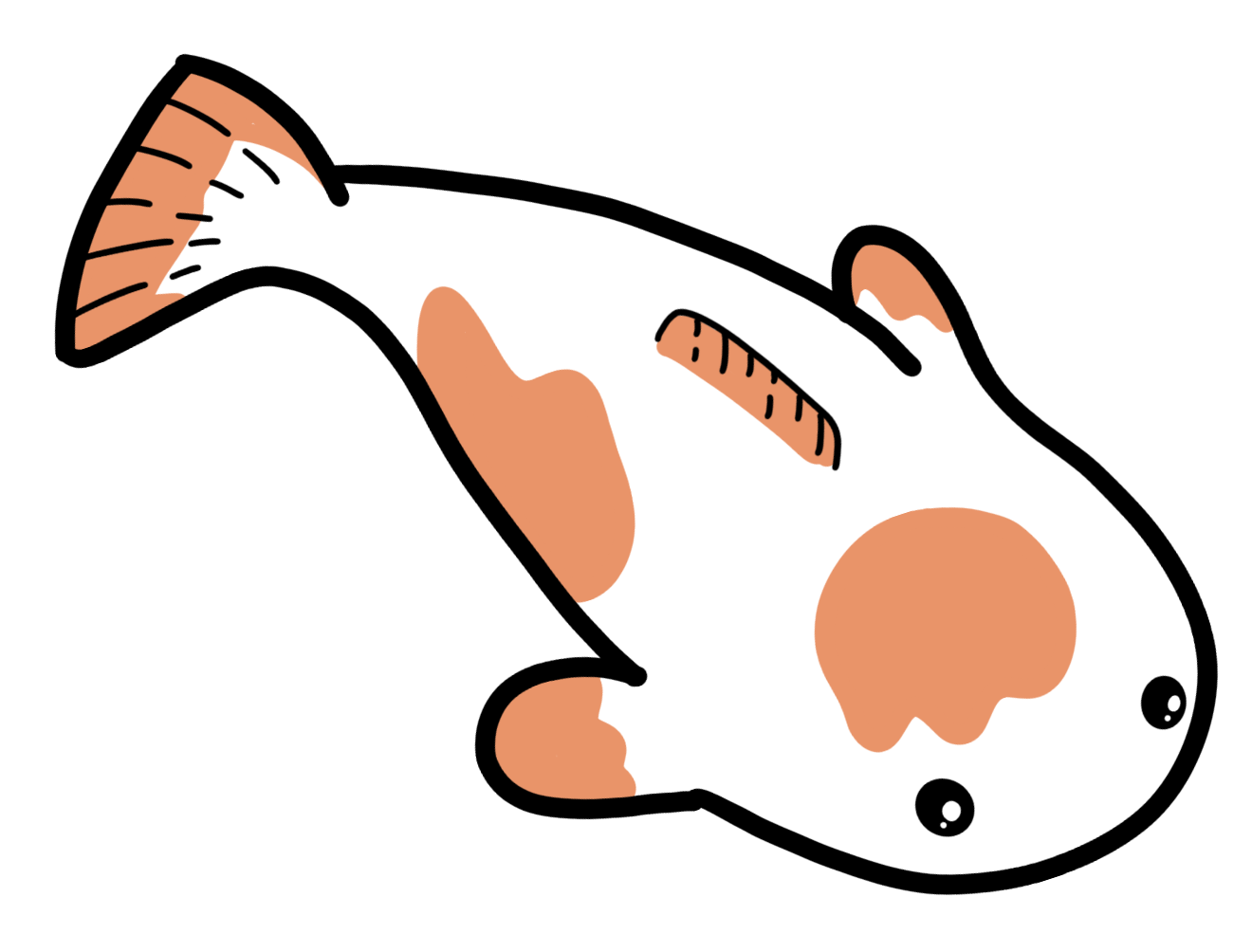 A koi fish illustration